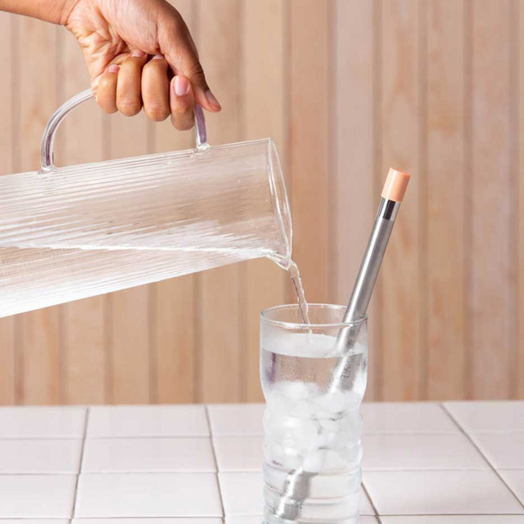 Lifestraw Sip - Herbruikbaar stalen filterrietje met draagtasje