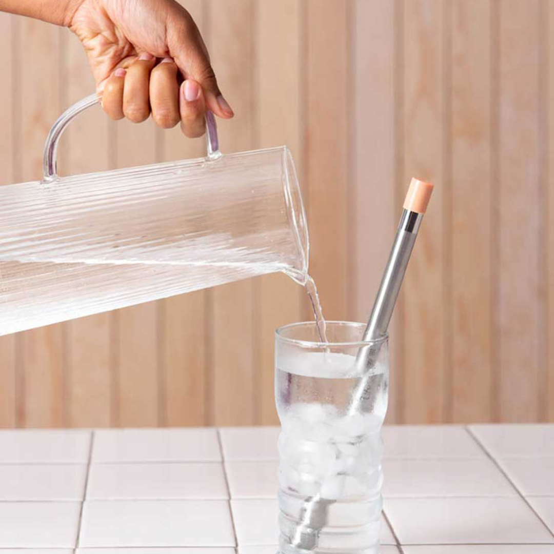 Lifestraw Sip - Reusable Steel Filter Straw with Carrying Case